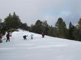 photo coins arrondis