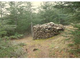 photo coins arrondis