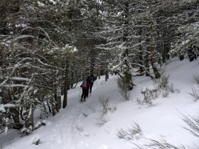 photo coins arrondis