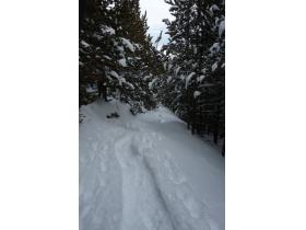 photo coins arrondis