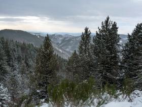 photo coins arrondis