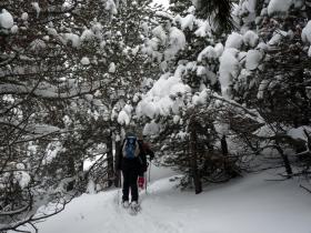 photo coins arrondis