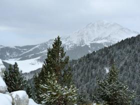 photo coins arrondis