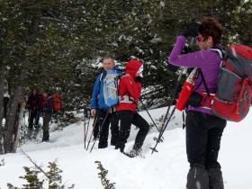 photo coins arrondis