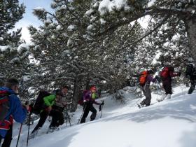 photo coins arrondis