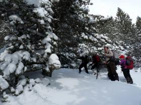 photo coins arrondis