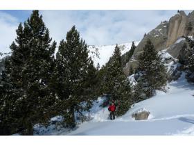 photo coins arrondis