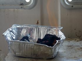 photo coins arrondis