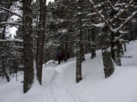 photo coins arrondis