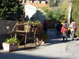 photo coins arrondis