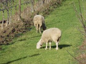 photo coins arrondis