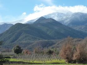 photo coins arrondis