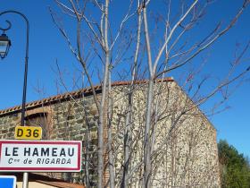 photo coins arrondis