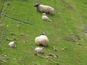 photo coins arrondis