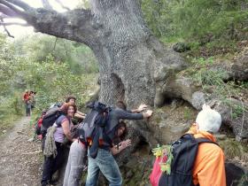 photo coins arrondis