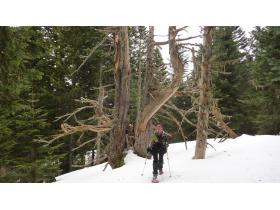 photo coins arrondis