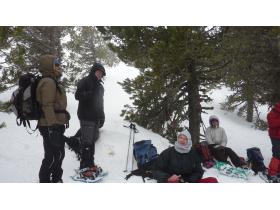 photo coins arrondis