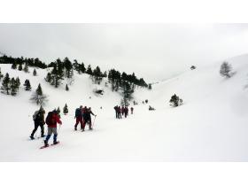 photo coins arrondis