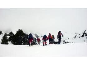 photo coins arrondis