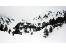 photo coins arrondis