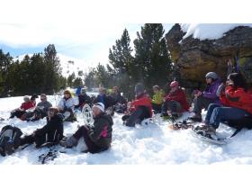 photo coins arrondis