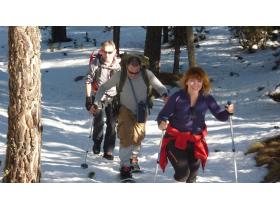 photo coins arrondis