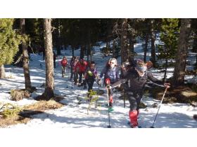 photo coins arrondis