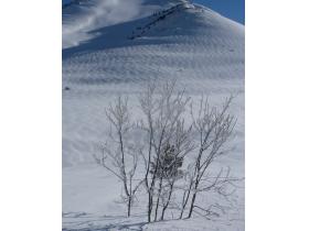 photo coins arrondis