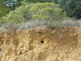 photo coins arrondis