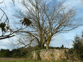 photo coins arrondis