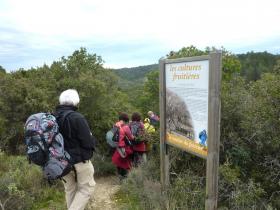 photo coins arrondis