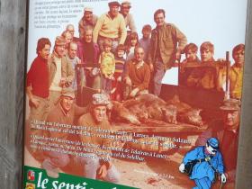 photo coins arrondis