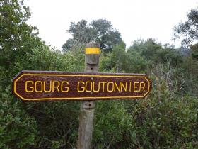 photo coins arrondis