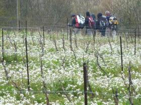 photo coins arrondis