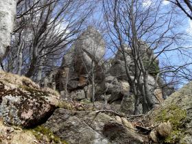 photo coins arrondis