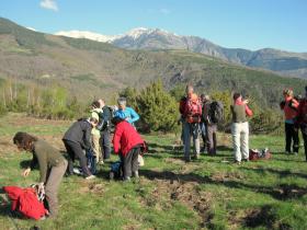 photo coins arrondis