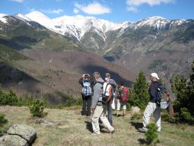 photo coins arrondis