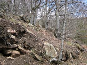 photo coins arrondis