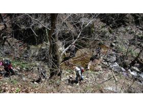 photo coins arrondis