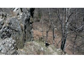 photo coins arrondis