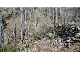 photo coins arrondis