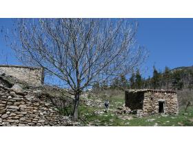 photo coins arrondis