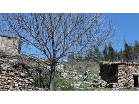 photo coins arrondis