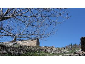 photo coins arrondis