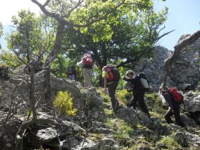 photo coins arrondis