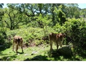 photo coins arrondis