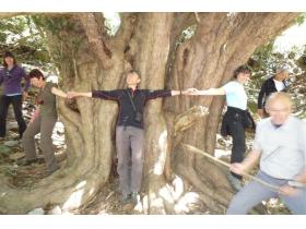 photo coins arrondis