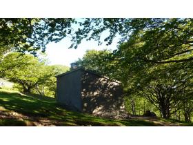 photo coins arrondis