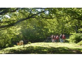 photo coins arrondis