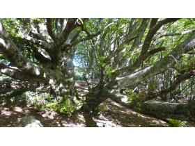 photo coins arrondis